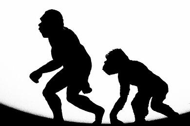 caveman_evan_oneil